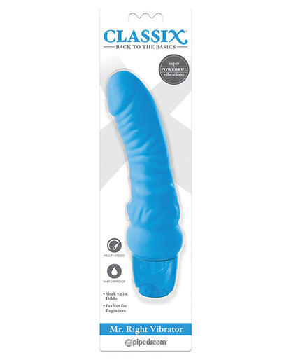 Classix Mr. Right Vibrator