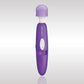 Rechargeable Bodywand